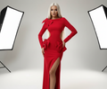 Slim-fit Sheath Split Bow Bare Back Dress