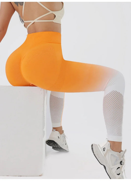 Fitness Leggings - Active Wear