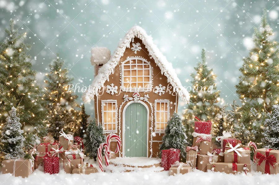 High Quality Christmas House backgrounds for photographs | House Decorations