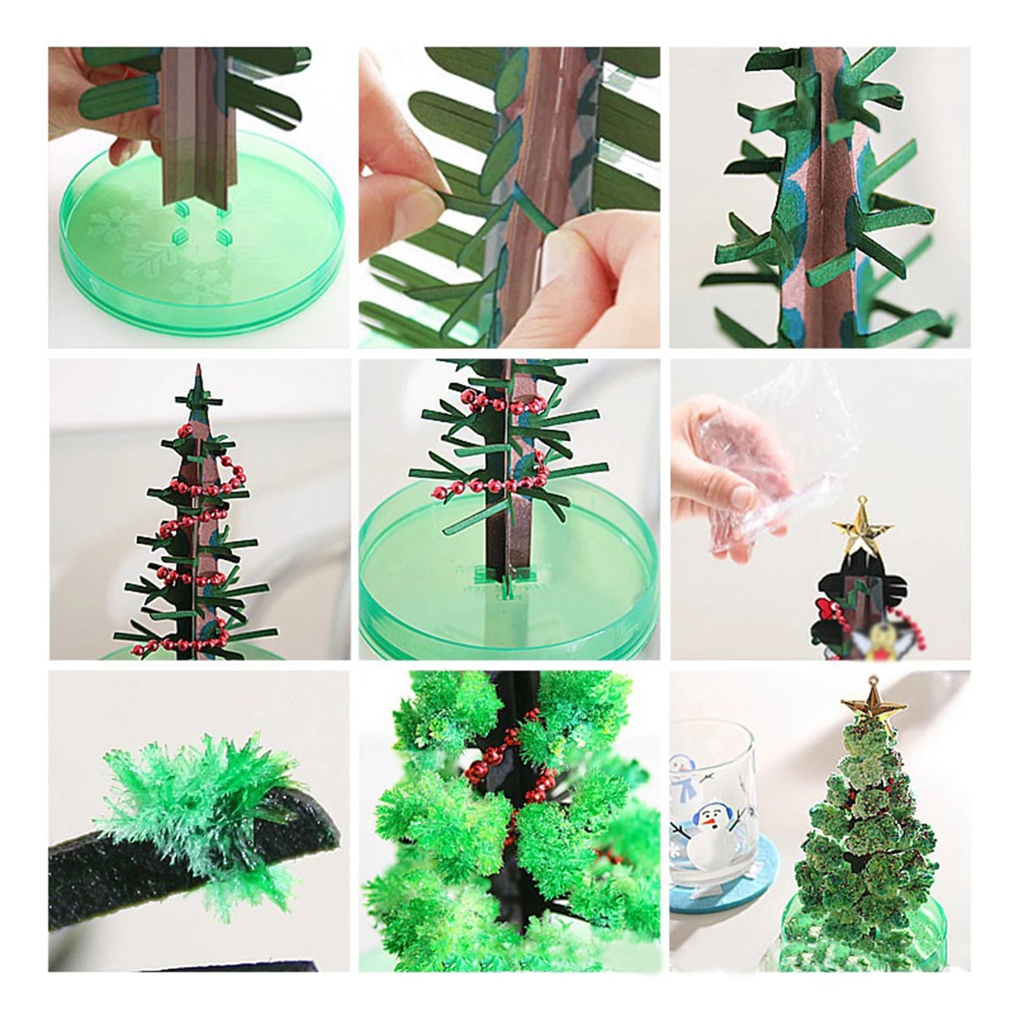 Christmas Growing Tree