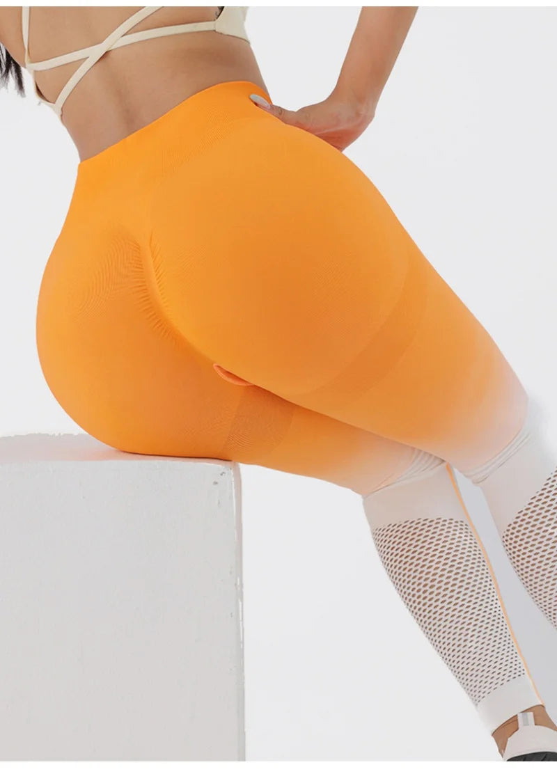 Fitness Leggings - Active Wear